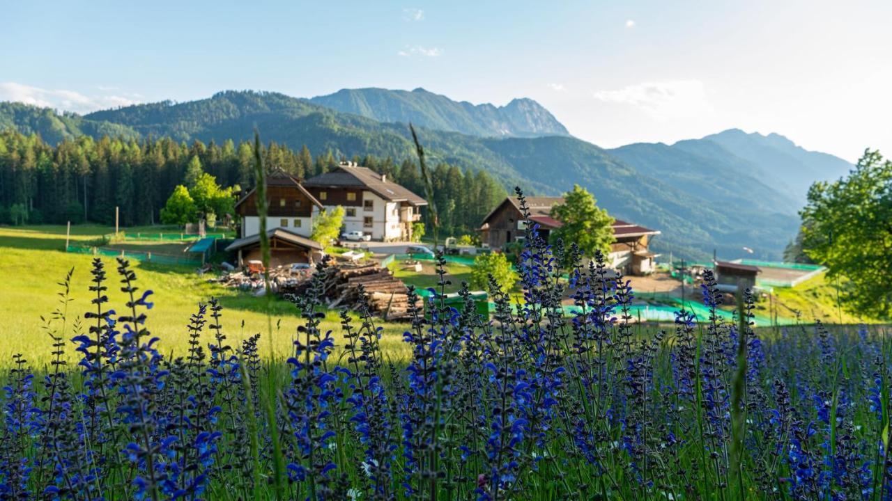 Erlebnishof Tschabitscher Villa Weissensee Exterior photo